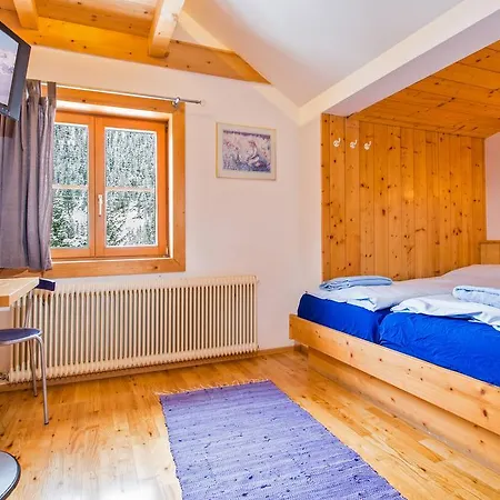 Hotel Alpengasthof Paletti 3*