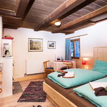 Hotel Alpengasthof Paletti